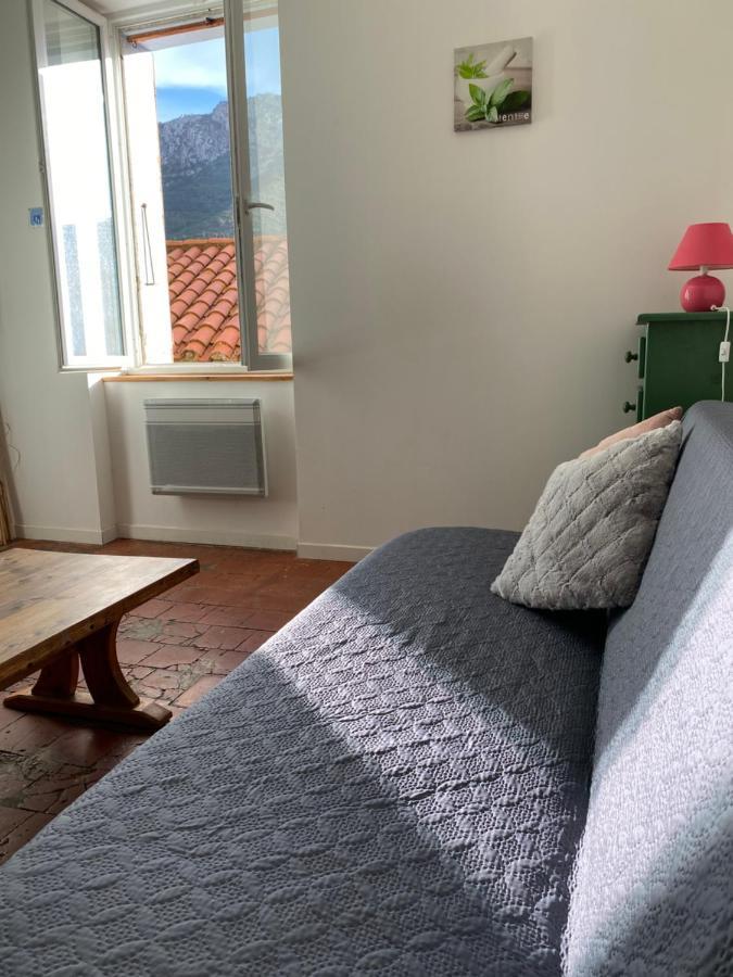 La Tomette - Le Charme De L'Authentique Apartment Maury Екстериор снимка